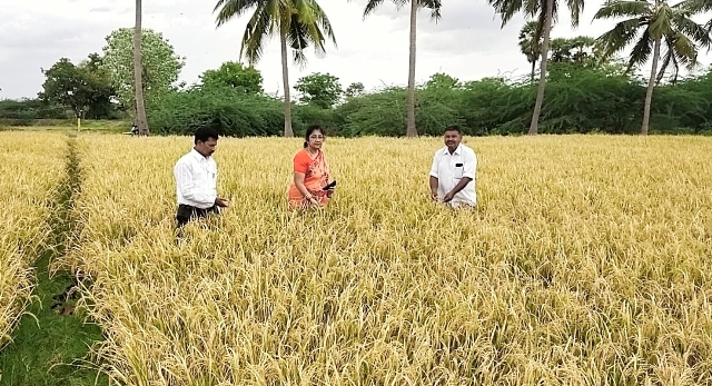 புதுக்கோட்டை