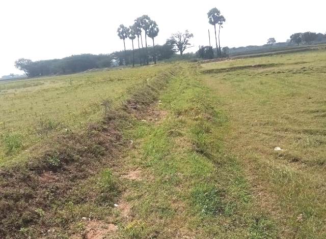 தஞ்சாவூர்