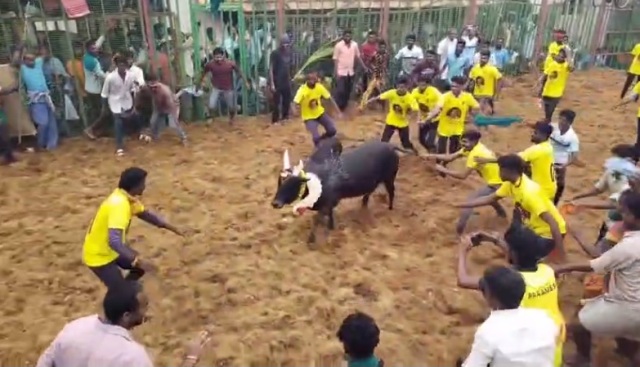 புதுக்கோட்டை